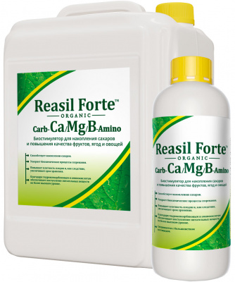 Детальная картинка товара «reasil forte carb ca/mg/b-amino(реасил форте карб-ca/mg/b-амино) 10 л» | Вип-Агро